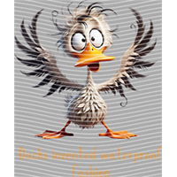 Animal Integration-DW 2310